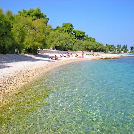 Sani