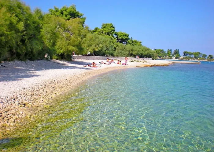 Sani