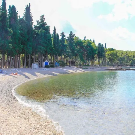 Sani